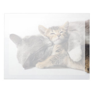 Niedliche Kleintiere   Niedlich Kitten Hug Notizblock