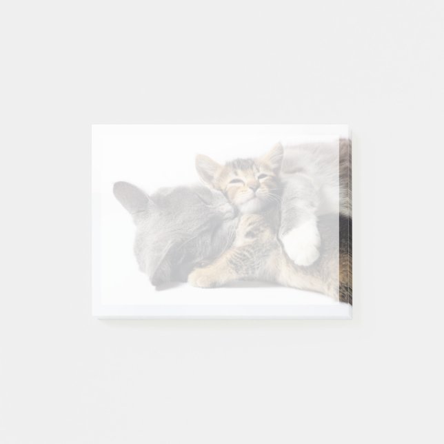 Niedliche Kleintiere | Niedlich Kitten Hug Post-it Klebezettel (Vorderseite)