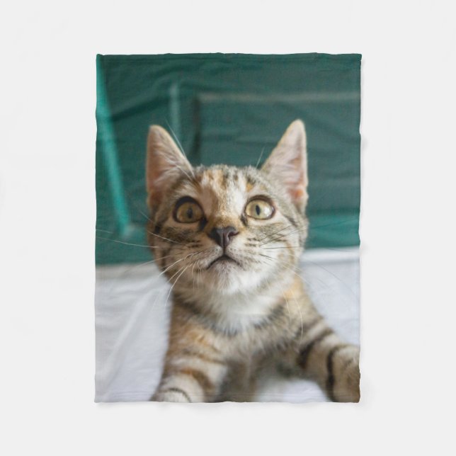 Niedliche Kleintiere | Niedlich Tabby Kitten Fleecedecke (Vorderseite)