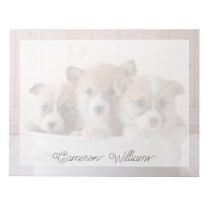 Niedliche Kleintiere   Niedliche Corgi Welpen in e Notizblock