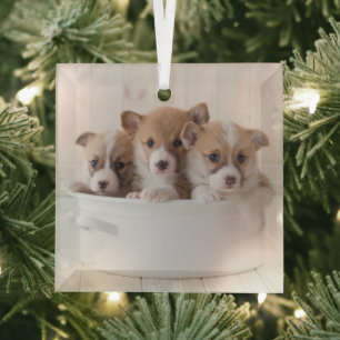 Niedliche Kleintiere   Niedliche Corgi Welpen in e Ornament Aus Glas