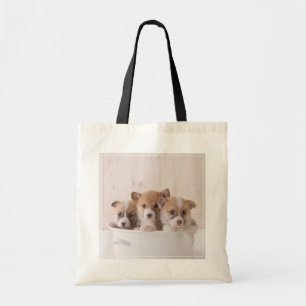 Niedliche Kleintiere Niedliche Corgi Welpen in e Tragetasche