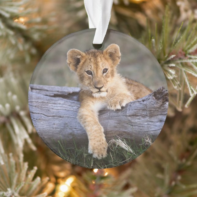 Niedliche Kleintiere | Niedliche Löwengräber Ornament (Baum)