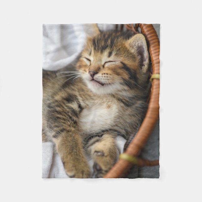 Niedliche Kleintiere | Niedlicher Tabby Cat Sleepi Fleecedecke (Vorderseite)