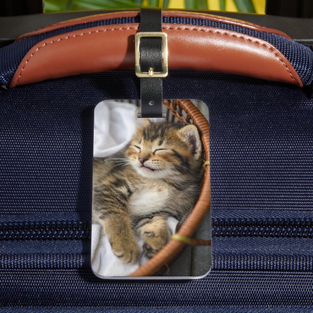 Niedliche Kleintiere | Niedlicher Tabby Cat Sleepi Gepäckanhänger (Vorderseite Insitu 2)