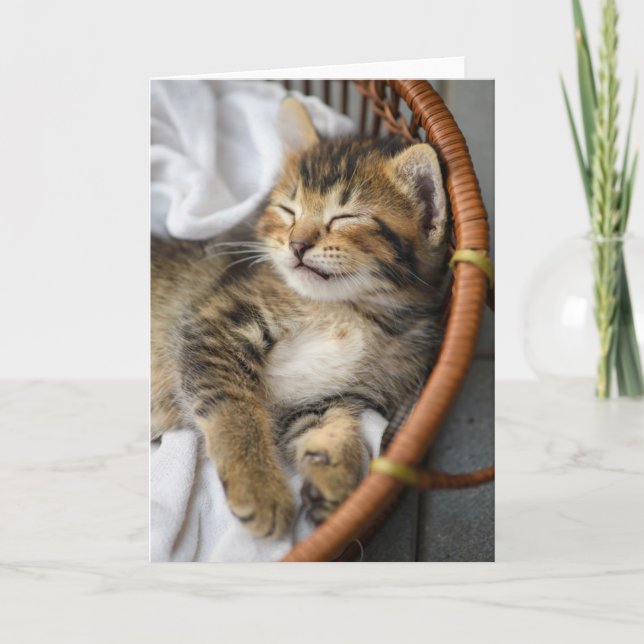 Niedliche Kleintiere | Niedlicher Tabby Cat Sleepi Karte (Vorderseite)