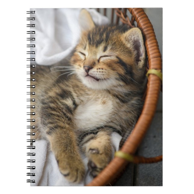 Niedliche Kleintiere | Niedlicher Tabby Cat Sleepi Notizblock (Vorderseite)