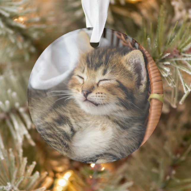 Niedliche Kleintiere | Niedlicher Tabby Cat Sleepi Ornament (Baum)