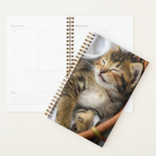 Niedliche Kleintiere Niedlicher Tabby Cat Sleepi Planer