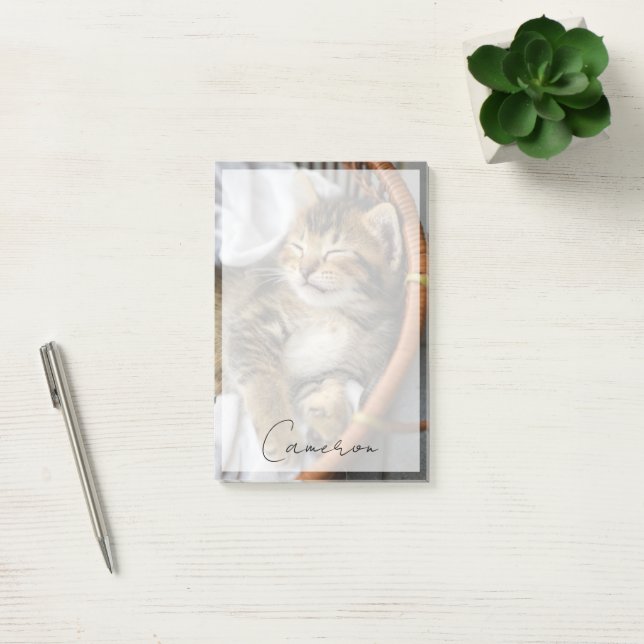 Niedliche Kleintiere | Niedlicher Tabby Cat Sleepi Post-it Klebezettel (Büro)