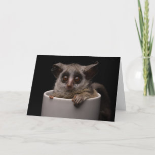 Niedliche Kleintiere Niedliches Bushbaby Karte