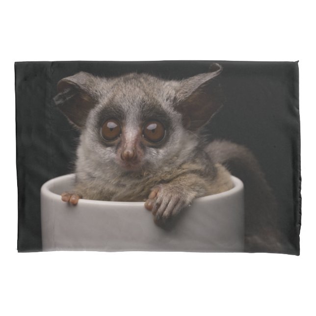 Niedliche Kleintiere | Niedliches Bushbaby Kissenbezug (Vorderseite)
