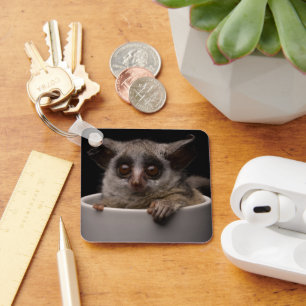 Niedliche Kleintiere   Niedliches Bushbaby Schlüsselanhänger