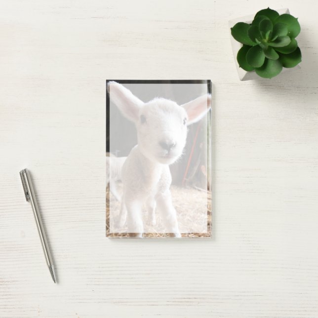 Niedliche Kleintiere | Niedliches Lamm in einem la Post-it Klebezettel (Büro)