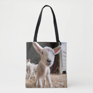 Niedliche Kleintiere   Niedliches Lamm in einem la Tasche
