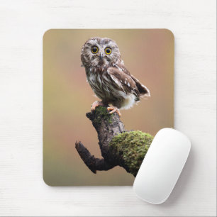 Niedliche Kleintiere   Nördliches Sägemehl Mousepad