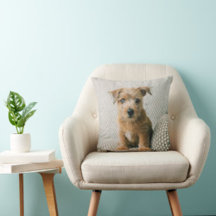 Niedliche Kleintiere Norfolk Terrier Puppy Kissen