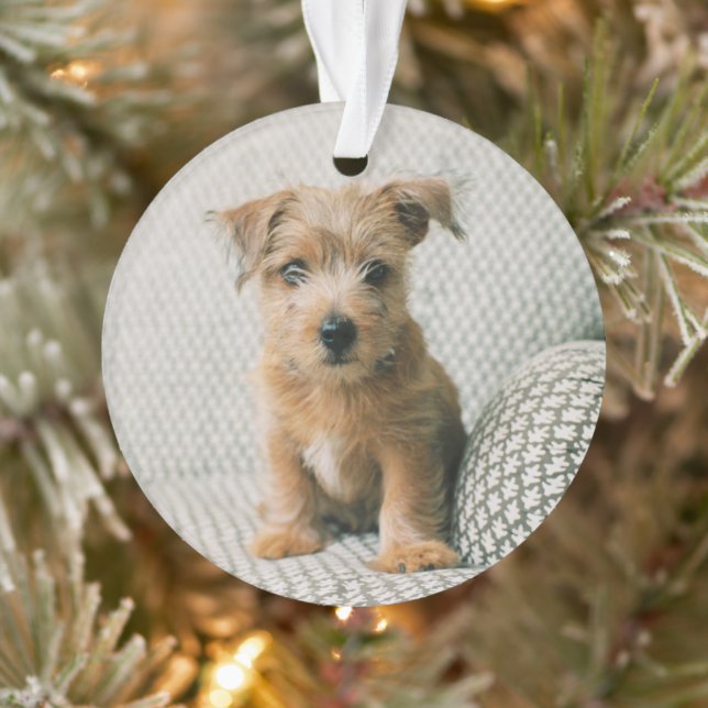 Niedliche Kleintiere | Norfolk Terrier Puppy Ornament (Baum)
