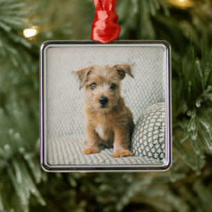 Niedliche Kleintiere Norfolk Terrier Puppy Ornament Aus Metall