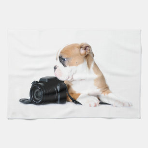 Niedliche Kleintiere Old Tyme British Bulldog Geschirrtuch