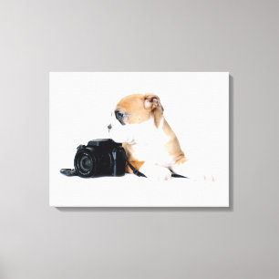 Niedliche Kleintiere   Old Tyme British Bulldog Leinwanddruck