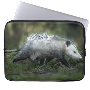 Niedliche Kleintiere   Opossum-Mama und Kinder Laptopschutzhülle