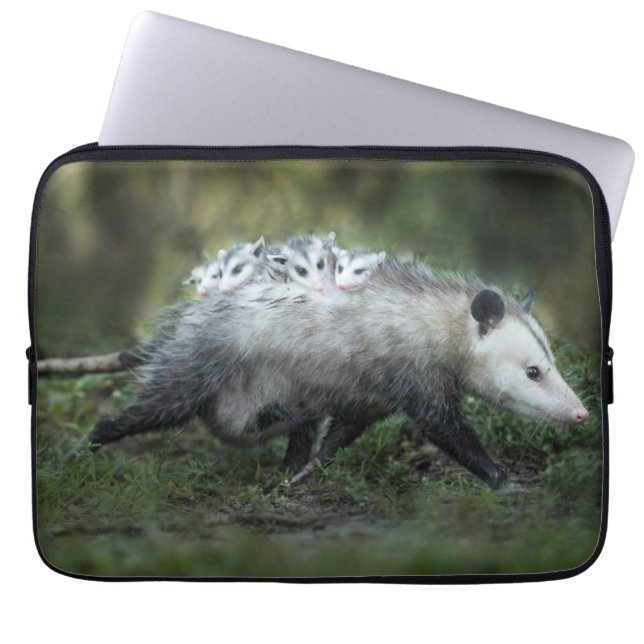 Niedliche Kleintiere | Opossum-Mama und Kinder Laptopschutzhülle (Vorderseite)