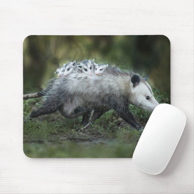 Niedliche Kleintiere | Opossum-Mama und Kinder Mousepad (Mit Mouse)