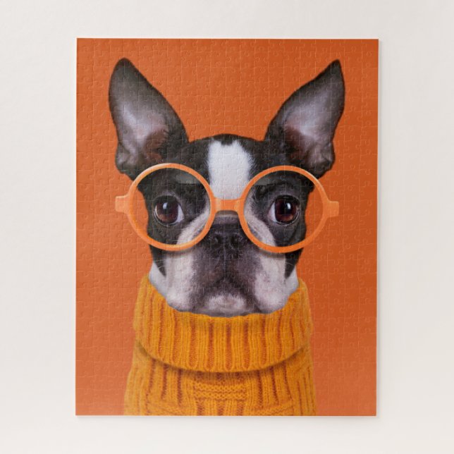 Niedliche Kleintiere | Orange Boston Terrier (Vertikal)