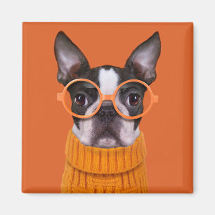 Niedliche Kleintiere Orange Boston Terrier Magnet