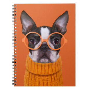 Niedliche Kleintiere   Orange Boston Terrier Notizblock