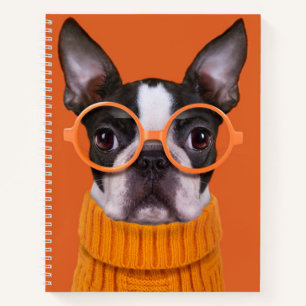 Niedliche Kleintiere Orange Boston Terrier Notizbuch