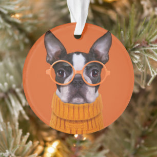 Niedliche Kleintiere Orange Boston Terrier Ornament