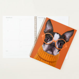 Niedliche Kleintiere Orange Boston Terrier Planer