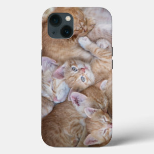 Niedliche Kleintiere Orange Kitten Pile Case-Mate iPhone Hülle