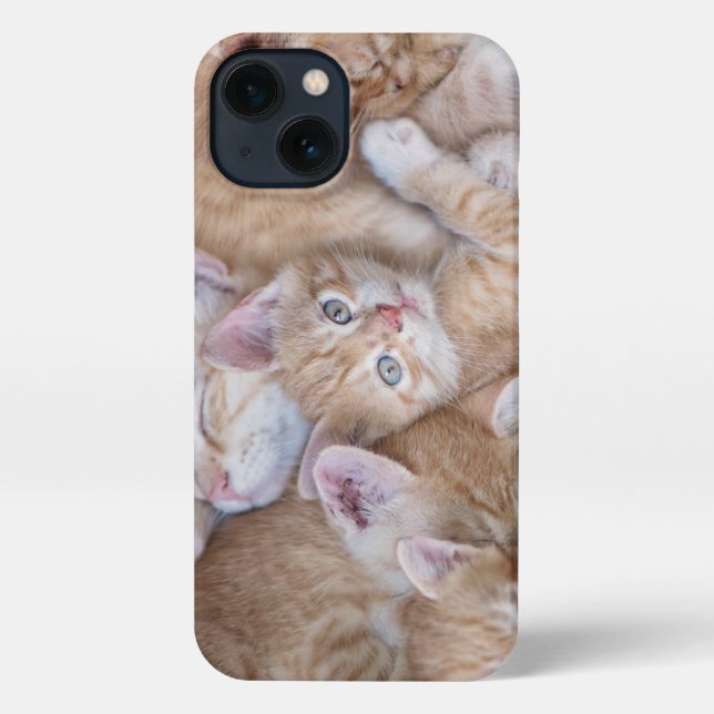 Niedliche Kleintiere | Orange Kitten Pile iPhone Hülle (Rückseite)