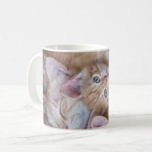 Niedliche Kleintiere Orange Kitten Pile Kaffeetasse