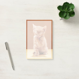 Niedliche Kleintiere   Orange Tabby Kitten Post-it Klebezettel