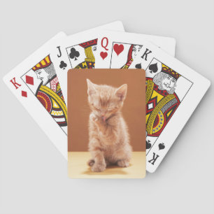 Niedliche Kleintiere   Orange Tabby Kitten Spielkarten