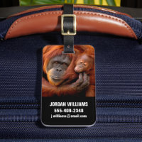 Niedliche Kleintiere | Orangutan Mama & Baby