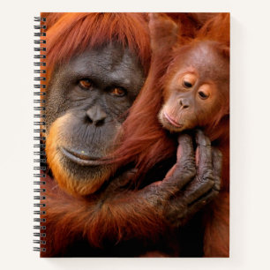 Niedliche Kleintiere Orangutan Mama & Baby Notizbuch