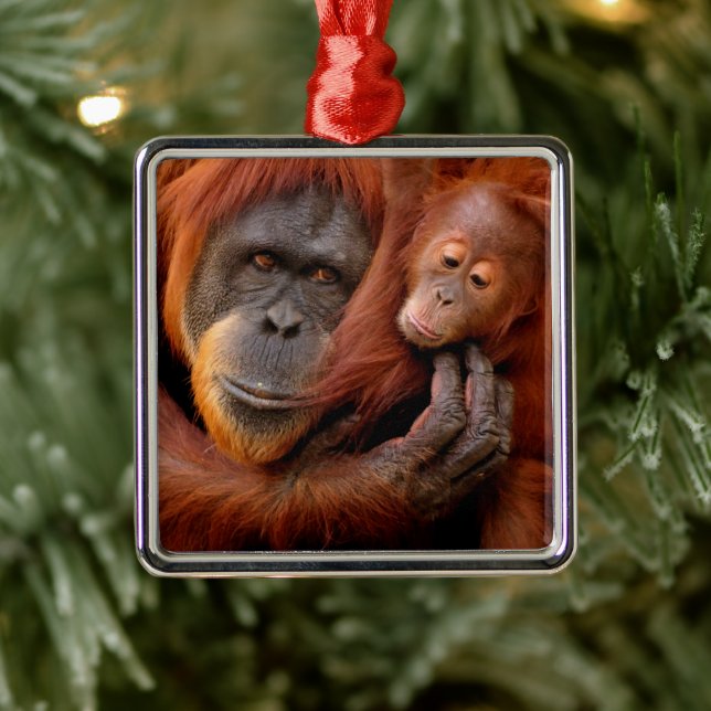 Niedliche Kleintiere | Orangutan Mama & Baby Ornament Aus Metall (Baum)