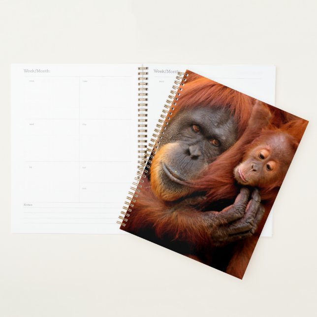Niedliche Kleintiere | Orangutan Mama & Baby Planer (Anzeige)