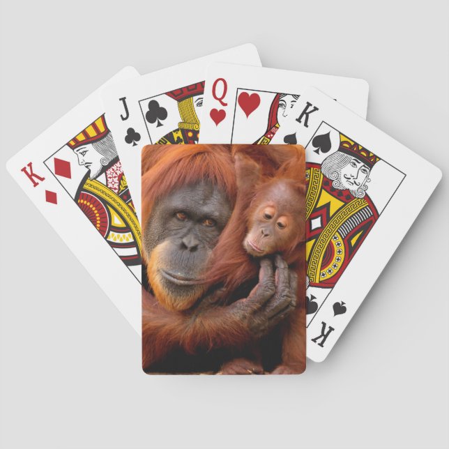 Niedliche Kleintiere | Orangutan Mama & Baby Spielkarten (Rückseite)