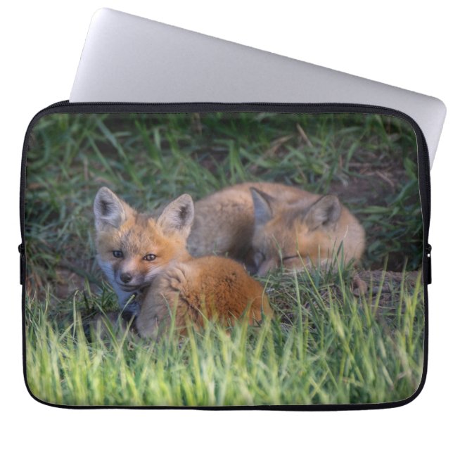 Niedliche Kleintiere | Paar von Red Fox Kit Geschw Laptopschutzhülle (Vorderseite)