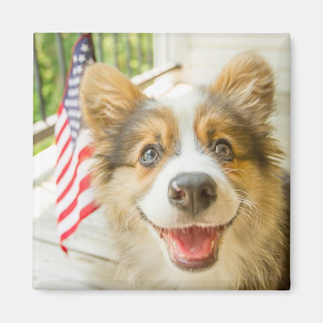Niedliche Kleintiere | Patriotic Corgi Puppy Magnet (Vorne)