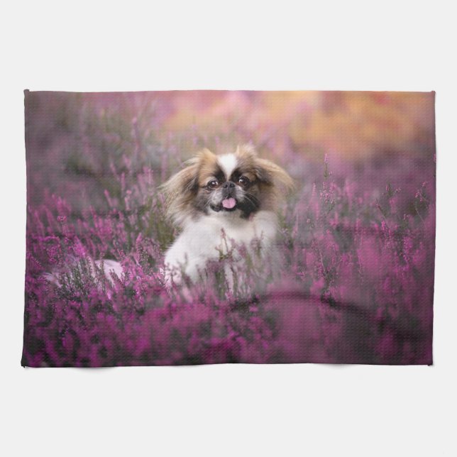 Niedliche Kleintiere | Pekingese Puppy Geschirrtuch (Horizontal)