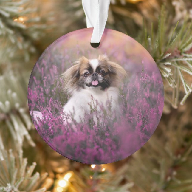 Niedliche Kleintiere | Pekingese Puppy Ornament (Baum)
