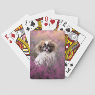 Niedliche Kleintiere   Pekingese Puppy Spielkarten