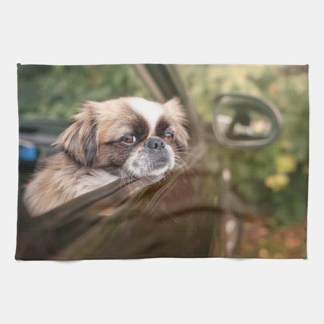 Niedliche Kleintiere | Pekingese Welpe im Auto Geschirrtuch (Horizontal)